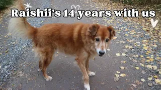 14 years of Raishii's life in one video...