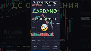 Успейте приобрести Cardano до обновления: важное предупреждение