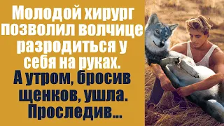 Молодой хирург позволил волчице разродится у него на руках. А утром, бросив щенков, ушла. Проследив