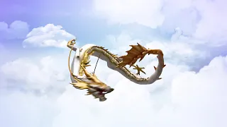 dragon, dragon video material/龍，龍視頻素材