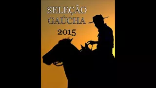 Seleção Gaúcha 2015