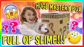 HUGE MYSTERY BOX OF SLYME! | We Are The Davises