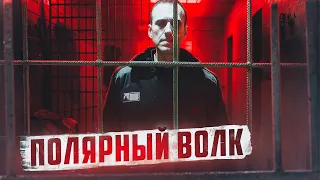 🇷🇺 ПОЛЯРНЫЙ ВОЛК // Зона, где умер Навальный