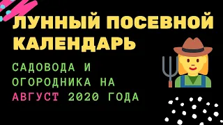 Лунный посевной календарь садовода и огородника на август 2020 года