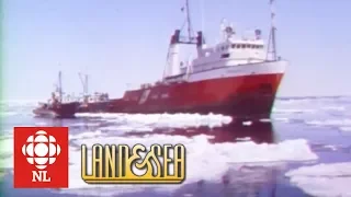 Land & Sea: A rescue aboard the icebreaker The Grenfell