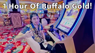 1 Hour Of Buffalo Gold Collection Slot Spins!