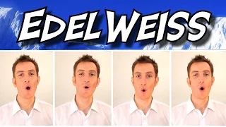 Edelweiss (The Sound Of Music) - A Cappella Barbershop Quartet - Julien Neel