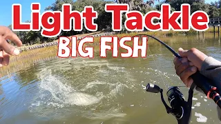 Biggest Fish I’ve Caught On My Spinning Rod -