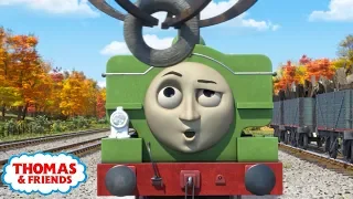 Thomas & Friends | School of Duck | Kids Cartoon