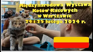 Międzynarodowa Wystawa Kotów Rasowych w Warszawie LUTY 2024