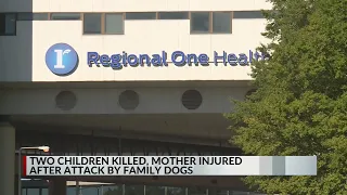 Children killed, mother injured by family dogs: SCSO