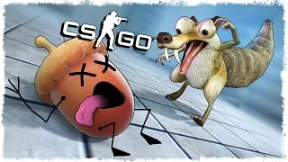 ТРОЛЛЬ ЖЕЛУДЬ vs БЕЛКА МАНЬЯК В CS:GO!!!