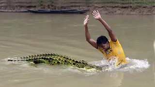 Crocodile Attack Hunter at Fishing Time | Fun Made Movie of Crocodile Attack