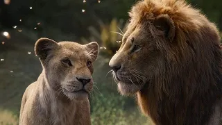 Aslan Krallığı Devlerin Avcısı Nat Geo Wild 2020 Türkçe Belgeseli