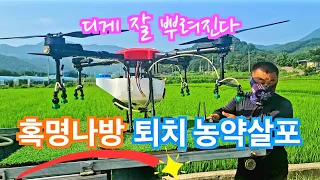 [드론방제] 혹명나방 퇴치 농약을 살포한다 해서 다녀왔습니다(신브로Bro)Drone pesticide spraying. kill the moth