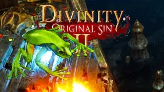 Fighting Frogs - Divinity Original Sin II – Part 3