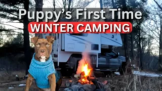 Heartwarming: Puppy's First Winter Camping Experience!