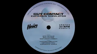 Guy Contact - Euphoria Simulator