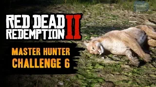 Red Dead Redemption 2 Master Hunter Challenge #6 Guide - Kill 5 Cougars with your Bow