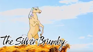 The Silver Brumby - Thowra the Great (HD - Full Episode)