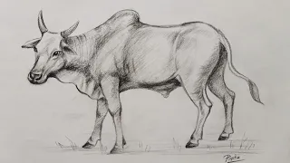 How to draw an ox | Pencil shading