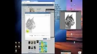 мое граффити  вконтакте кот.wmv
