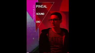 Pineal Sound 030 - Progressive House 2020 New Year (432hz)