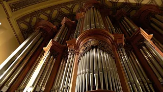 Mander Organ at St Ignatius Loyola in NYC | Demonstration of Stops | Bálint Karosi