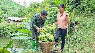 The good guy harvests bananas and brings them to the market to sell _ buy fruit milk, come back