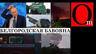 Примет ли Украина Белгородскую народную республику в свой состав?