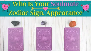 Pick A Card Love 💕 Who Is Your Soulmate 💕 Appearance, Zodiac Sign, Personality 💕 Love Tarot Reading