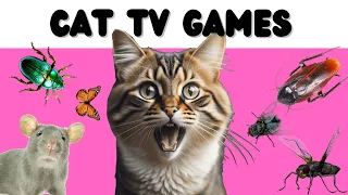 Cat Games - Home Kitchen Edition - Mice, Butterfly, Bugs, Lizard...