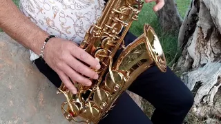 Modern Talking (brother louie) sax cover