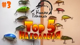 #3 Топ 5 приманок на голавля.