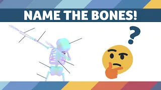 SKELETAL SYSTEM! QUIZ: Can you name these bones? | Skeleton Anatomy Quiz