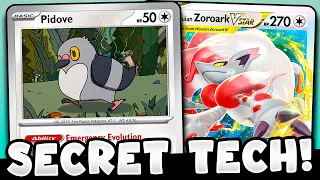 Why This Pidove Takes Zoroark VSTAR to a WHOLE New Level