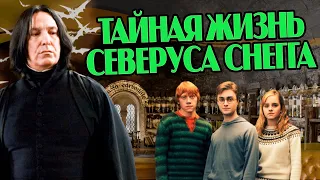 Северус Снейп о Гарри Поттере, Дамблдоре и Волдеморте