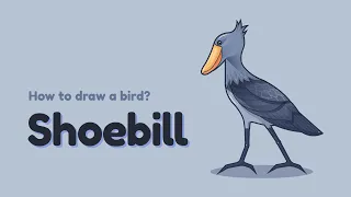 How to draw a bird - Shoebill(Whalehead)? Easy and simple drawing | Animal character design tutorial