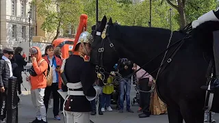 A heartwarming moment, the kings guard kisses  the horse on the forehead #thekingsguard