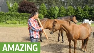 Man captivates horses with native flute