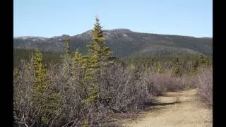 Hiking The Stampede Trail To Bus 142, May 2012