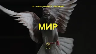 Мир Божий — Коллекция мест Писания | Возложите все ваши заботы на Него, ведь Он печется о вас.