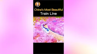The Most Beautiful Train Line in China, from Shanghai to Tibet #chinatravel #scenery #nature #shorts