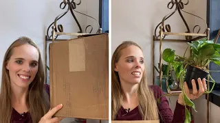 Planterina Houseplant Unboxing! My Plants Froze!🪴🥶 | Simply Bloom