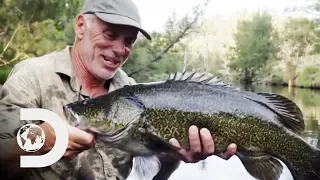 Searching For The Legendary Murray Cod In The Australian Outback | Jeremy Wade's Dark Waters