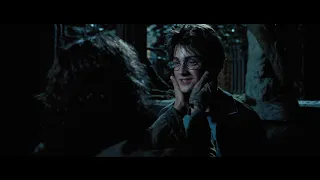 Harry Potter Prisoner of Azkaban - Rescored (Goodbye, Sirius)