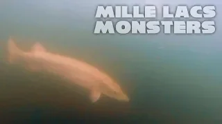 Musky Fishing Mille Lacs MONSTERS!! - CRAZY Underwater Footage