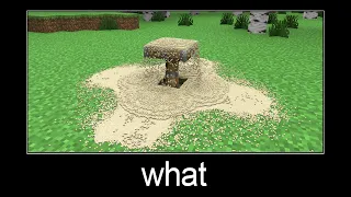 Minecraft wait what meme part 154 (realistic sand)