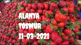 🇹🇷 ALANYA Обалденная клубника Цены на рынке 11 марта 2021 Тосмур Алания