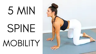 5 MIN SPINE MOBILITY FLOW (CAT COW) - Spine Articulation